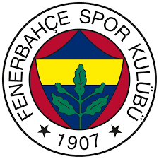 e-ticaret